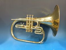 A Dynasty marching French horn