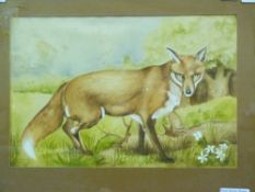 A framed watercolour of a fox