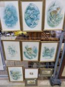 A set of seven framed pictures of wildli