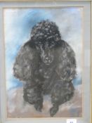 Two watercolours of black poodles, one m