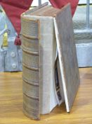 A late 19th or early 20th century Browns