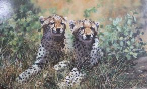 Stephen Park oil on board of cheetah cub