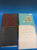 A collection of USA stamps in two stockb