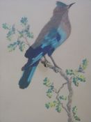 Two late 19thC/early 20thC pictures of b