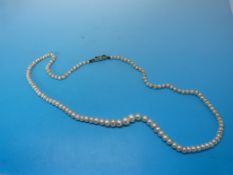 A single string of natural pearls with a