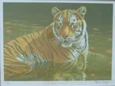 Stephen Gayford signed limited edition p