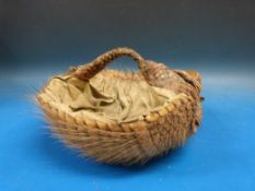 A taxidermy armadillo basket