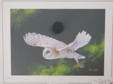 Five signed limited edition Stephen Gayford prints of big cats, owl and fox