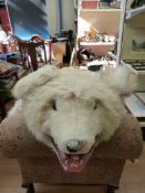 A taxidermy rug with polar bear head