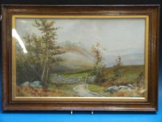 Five framed watercolours of 18thC / 19thC rural scenes, signed DW