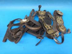 A collection of tack and horse brasses