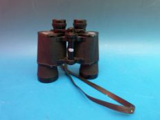 Mark Scheffel 20 x 50 field binoculars