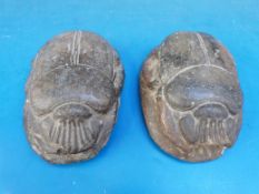 Two Victorian tourist scarab beetles