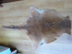 A reindeer skin and a kangaroo hide