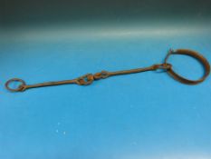 A probably Georgian blacksmith made articulated dog collar