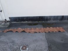 An early 19thC large python skin