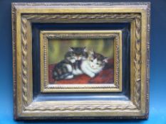 A framed oil on board of two cats together with two framed prints of cats