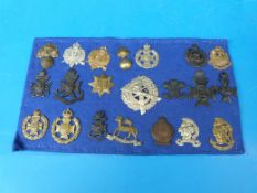 Twenty-one British Army cap badges includes London regiments, Artist's Rifles, 7th London, Royal