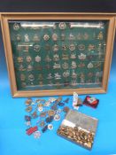 A framed display of 77 British military badges including cavalry, infantry and yeomanry units,