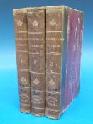 Henry James Jr. 'Roderick Hudson' in three volumes. Revised edition, Macmillan 1879 Quarter