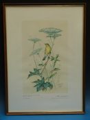 A set of Royal Worcester limited edition prints