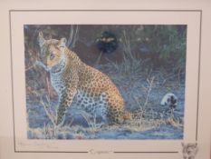 Four signed limited edition Stephen Gayford prints of big cats