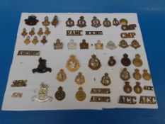 A carded display of military badges including examples, officers, a variety of corps, Staybrite etc