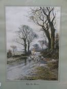 Three equine pictures and one horse racing picture