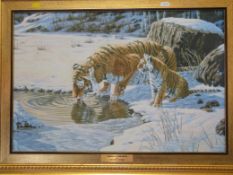 A limited edition 16/35 Stephen Gayford print of tigers 