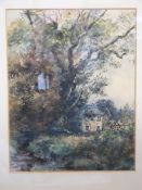 C J Thornton: Watercolour 