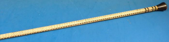 Mariners Shark spine cane with Baleen top (length 87cm)