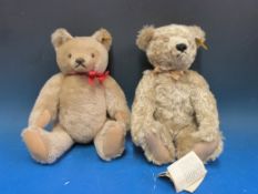 Two Steiff mohair bears both with jointed limbs and one with shaved snout, both approx 28cm tall.