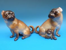 Two large 19thC Meissen pug dogs, one with pup at foot. The pug without pup 16.