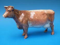 A Beswick Dairy Shorthorn cow Champion Eaton Wild Eyes