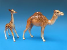 A Beswick baby giraffe and camel