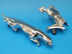 A Jaguar car mascot together with a bird mascot possibly from a Singer Bantam