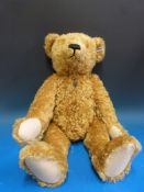 A Stieff teddy bear with hot water bottle 1908,
