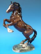 A Beswick rearing Welsh cob,
