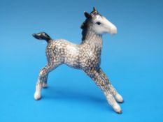 A Beswick foal in dappled grey colourway.