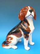 A Beswick fireside seated beagle 2300