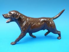 A Beswick Collector's Club 1993 chocolate Labrador walking 3062B, limited edition of 93.
