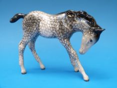 A Beswick foal in dappled grey colourway.