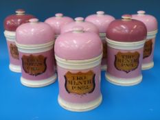 A set of eight apothecary jars, all on pink ground with painted,