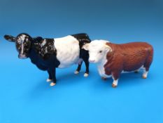 A Beswick Hereford bull in matt together with a Beswick Belted Galloway in original box