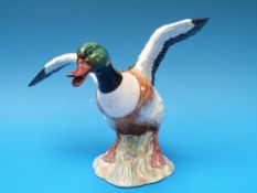 A Beswick shelduck (no 995)