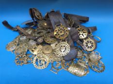 A quantity of horse brasses etc including RSPCA merit badges, 8.