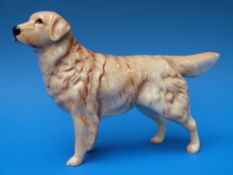 A Beswick golden retriever