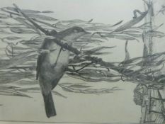 Charles Chaplin etching 'Reed Warbler' (signed),