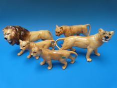 A Beswick pride of lions (five)