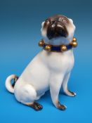 A Meissen figure of a pug with a collar of bells (10cm high)